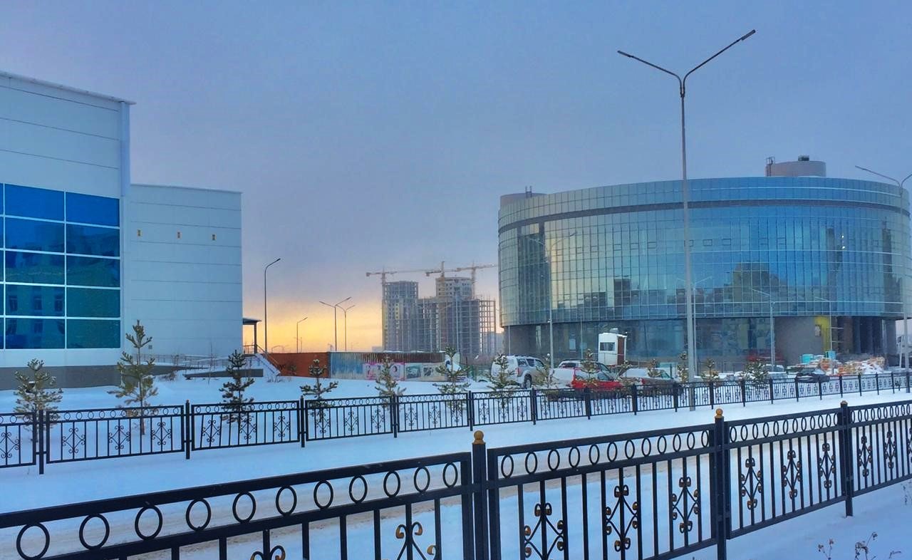 image of Palace of Schoolchildren №2